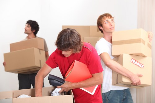Professional removalist team handling household items in France